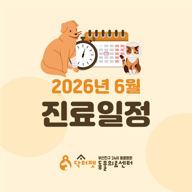  닥터펫동물의료센터 2026년 6월 진료진 일정 안내 개금역 2번 출구 부산 24시 동물병원
