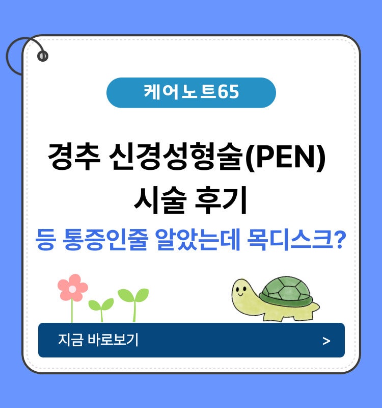 등통증인 줄 알았는데.. 목디스크 신경성형술 후기 (PEN) 비용, 부작용, 관리방법