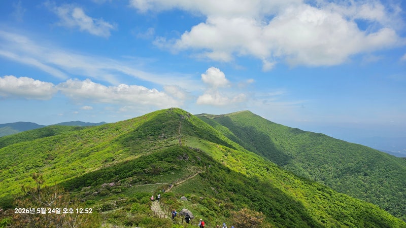 [소백산 등산코스] 죽령~어의곡 종주 코스, 초록 융단 능선 여름 산행 후기