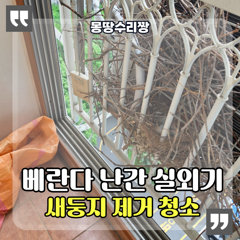 아파트 베란다 난간 실외기 새둥지 알 제거 조류퇴치망 설치