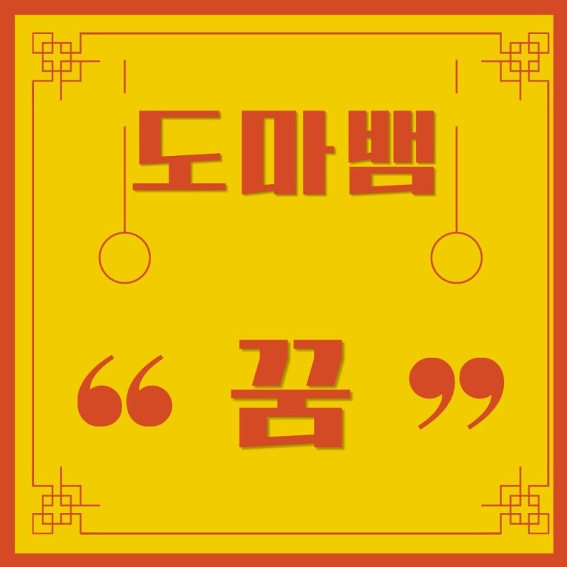 집안에 도마뱀나오는꿈 깜짝 놀라셨나요 새끼 꿈부터 큰 도마뱀 꿈까지