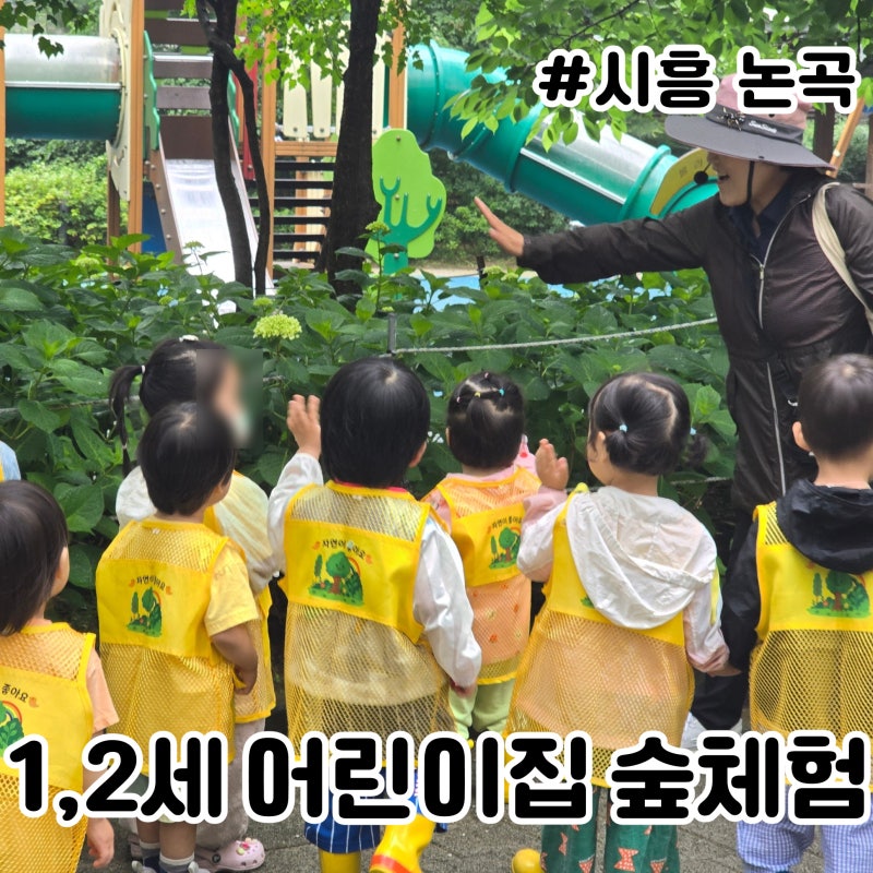 시흥 어린이집 숲체험 1세 2세 영아 유아