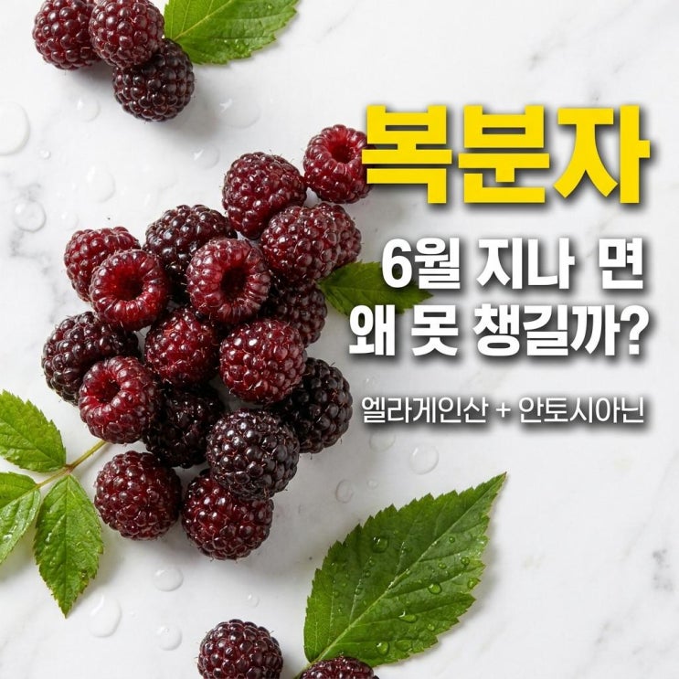  복분자, 6월이 지나면 못 챙기는 이유 있어요