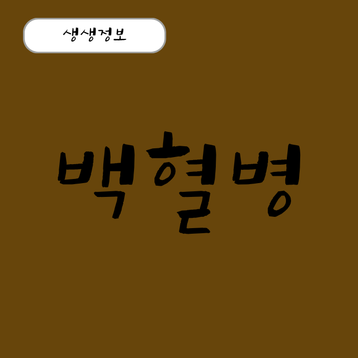 급성 만성 백혈병 초기증상 골수 이식 총정리