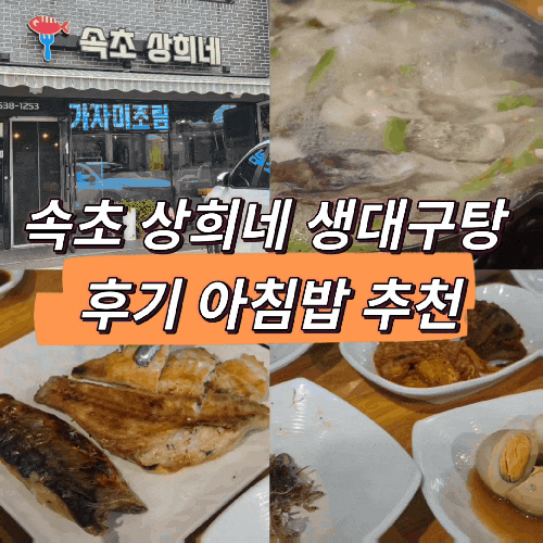 속초 고속버스터미널 근처 맛집 속초 상희네 후기