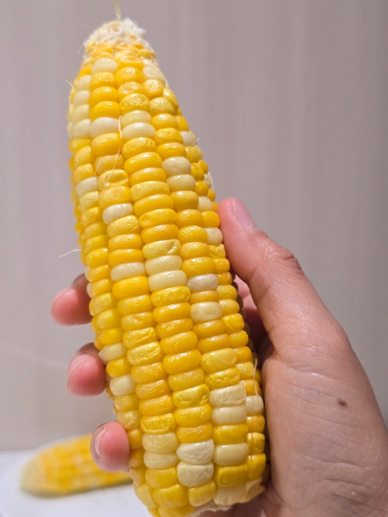 초당옥수수 삶는법 찌는법 차이부터 칼로리 보관방법까지 총정리
