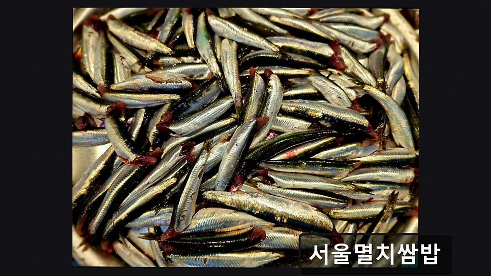 서울멸치쌈밥 사진 1