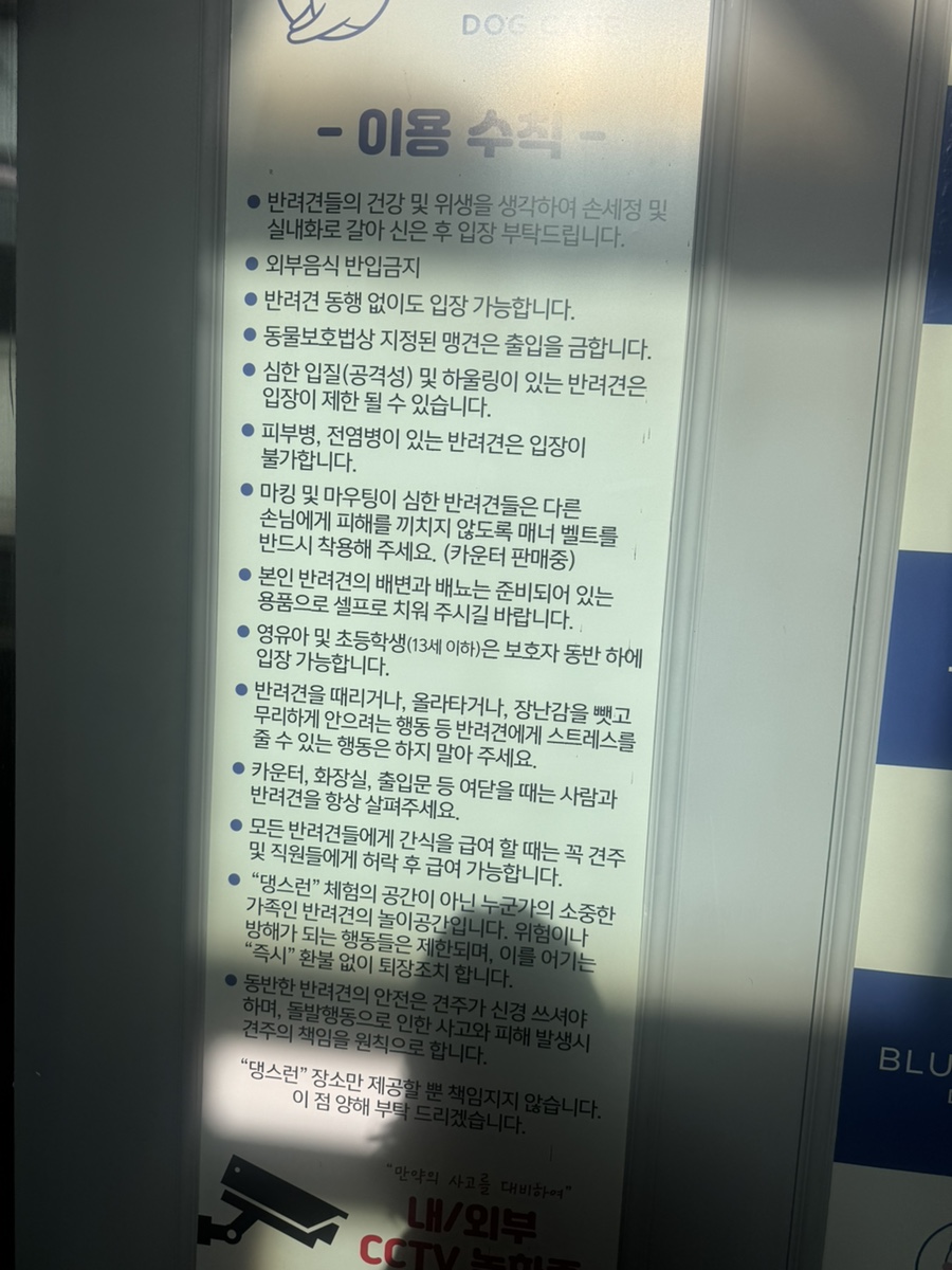 댕스런 사진 4