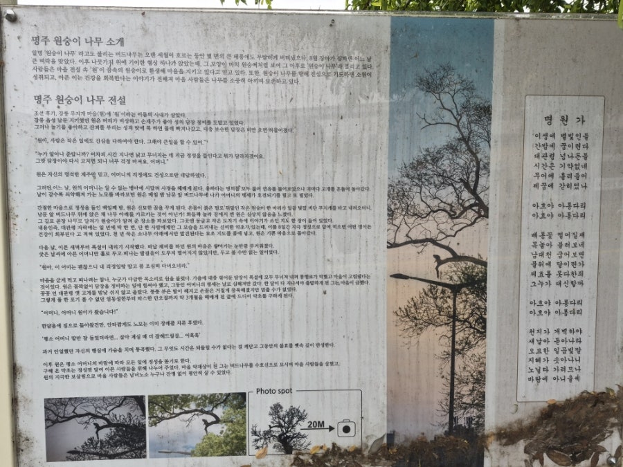 100년임당방앗간 사진 5