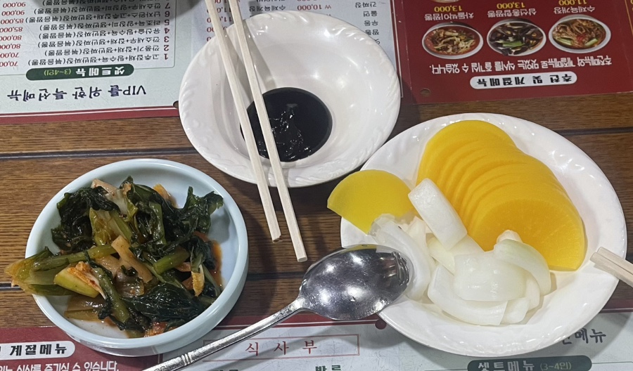 미래향 사진 1