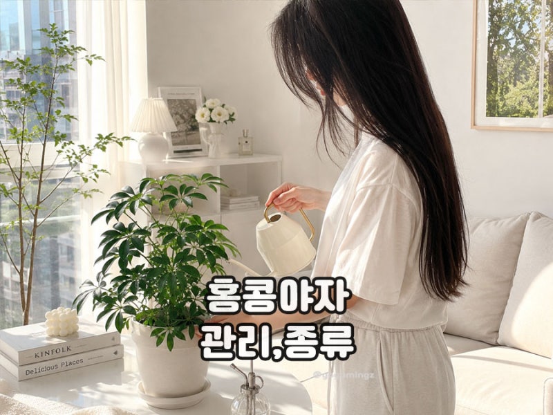 무늬·대나무 홍콩야자 키우기 가지치기 물주기 방법