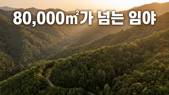  영천 북안면 임야 8만 넘는데, 실제로는 경사에서 판단이 갈렸습니다