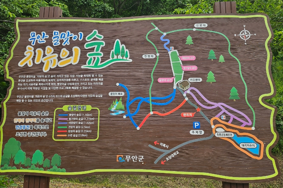 물맞이 치유의 숲 사진 4