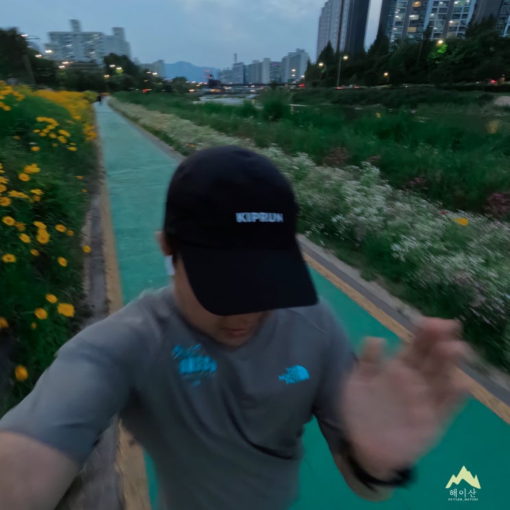  중랑천 러닝 중간에 포기! 날벌레 이게 맞나?