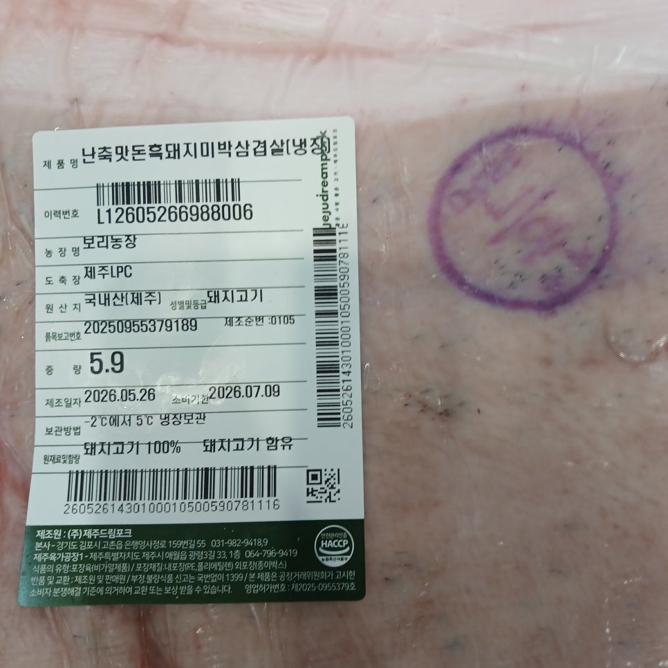 제주토종흑돼지 사진 3