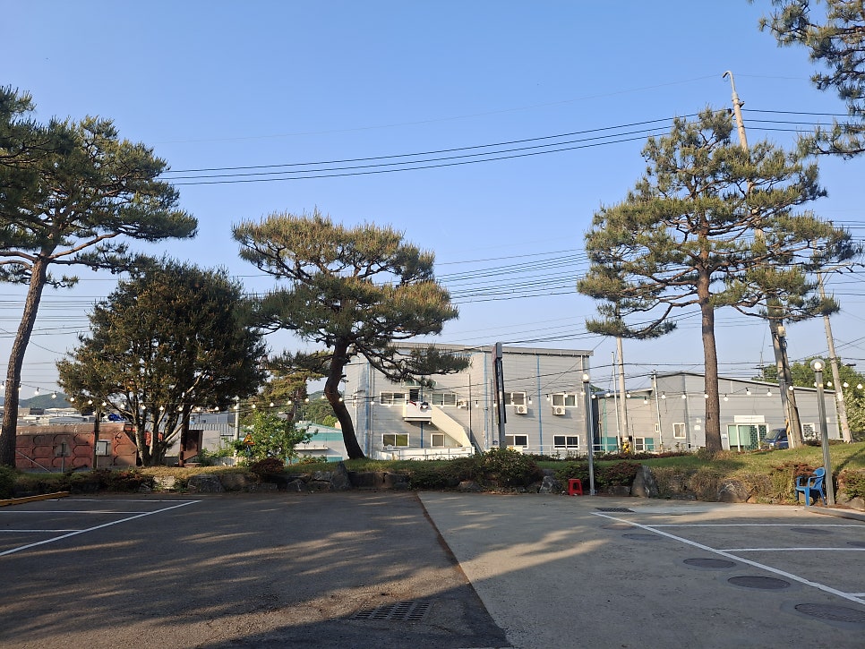 장수염소탕 사진 4