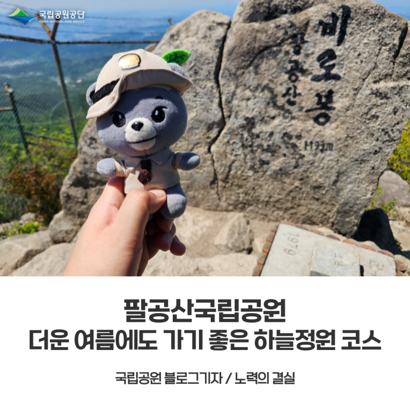 [팔공산국립공원] 무더운 여름에도 가기 좋은 하늘정원 코스