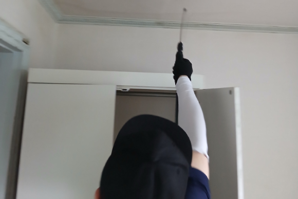 벽지 벌레 생기는 이유 먼지 벌레 퇴치 과정 기록