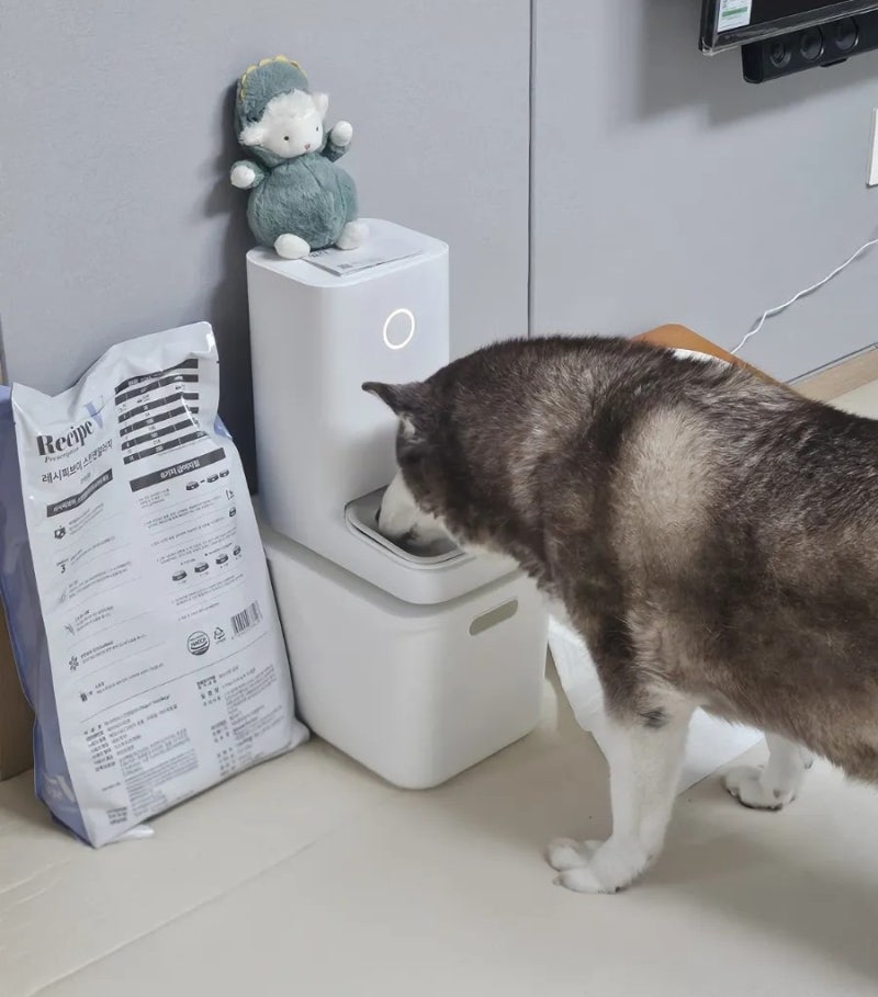 [바람펫 밀리] 30kg 대형견 자동급식기 | 4개월 실사용 후기 (내돈내산)