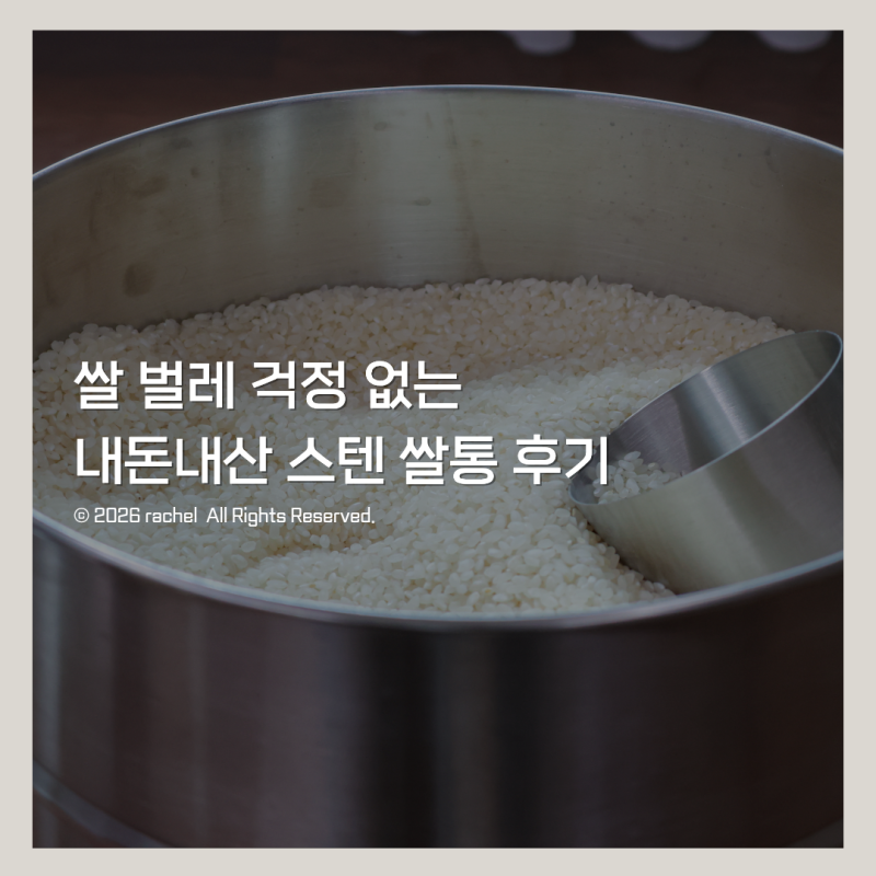 5월추천살림템 쌀벌레 걱정 없는 내돈내산 밧드야 쌀통 후기