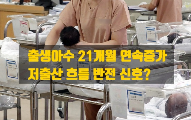  출생아 21개월 연속 증가…한국 저출산 드디어 반등 시작?