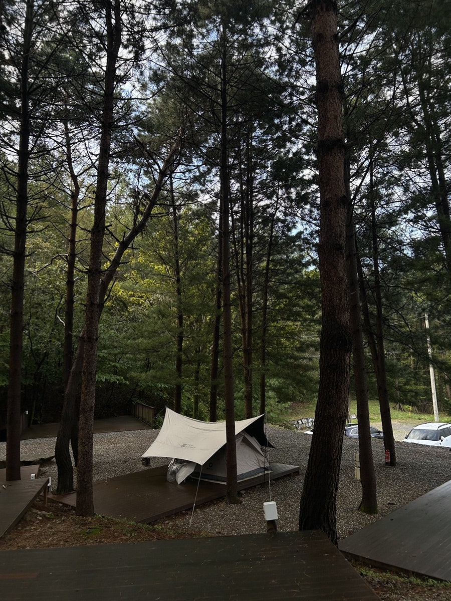 힐링스토리 사진 1