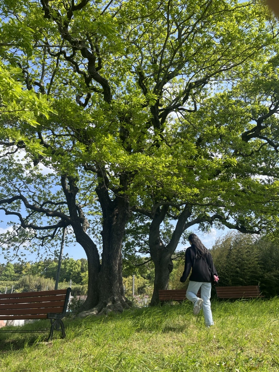 손불신촌떡집 사진 5