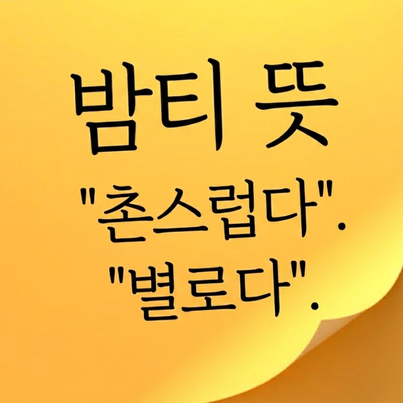 요즘 밈 밤티 뜻 유래 상황별 사용법 예시