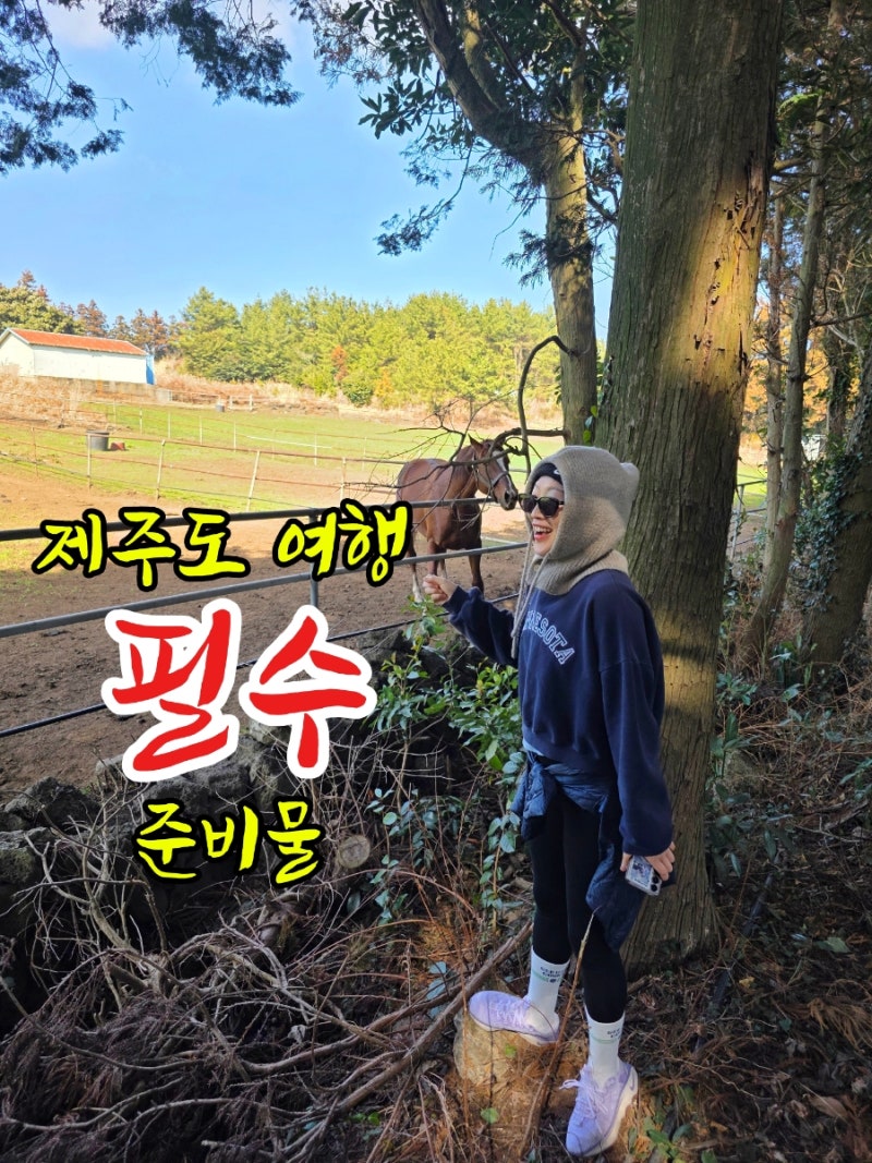 제주도여행 준비물 탐나는전,나우다 디지털 관광증 리스트에 없으면 손해