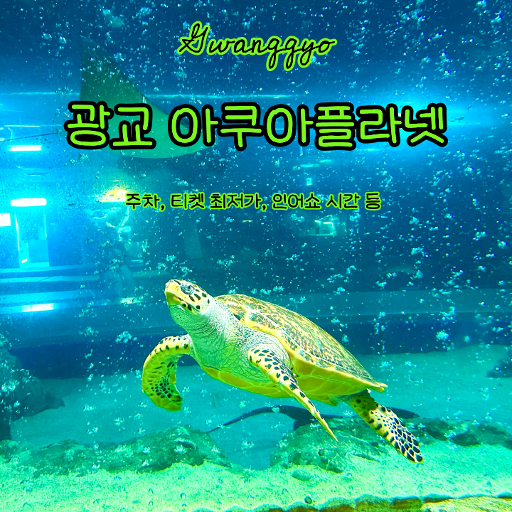 광교 아쿠아플라넷 주차 티켓 구매 할인 공연 인어쇼 시간 인어공주 머메이드쇼 먹이주기 생....