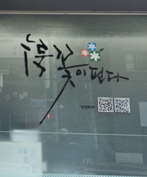 누룩꽃이 핀다 사진 2