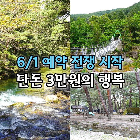  "추첨일정 임박" 5성급 계곡 국립공원 캠핑장 3곳 소개
