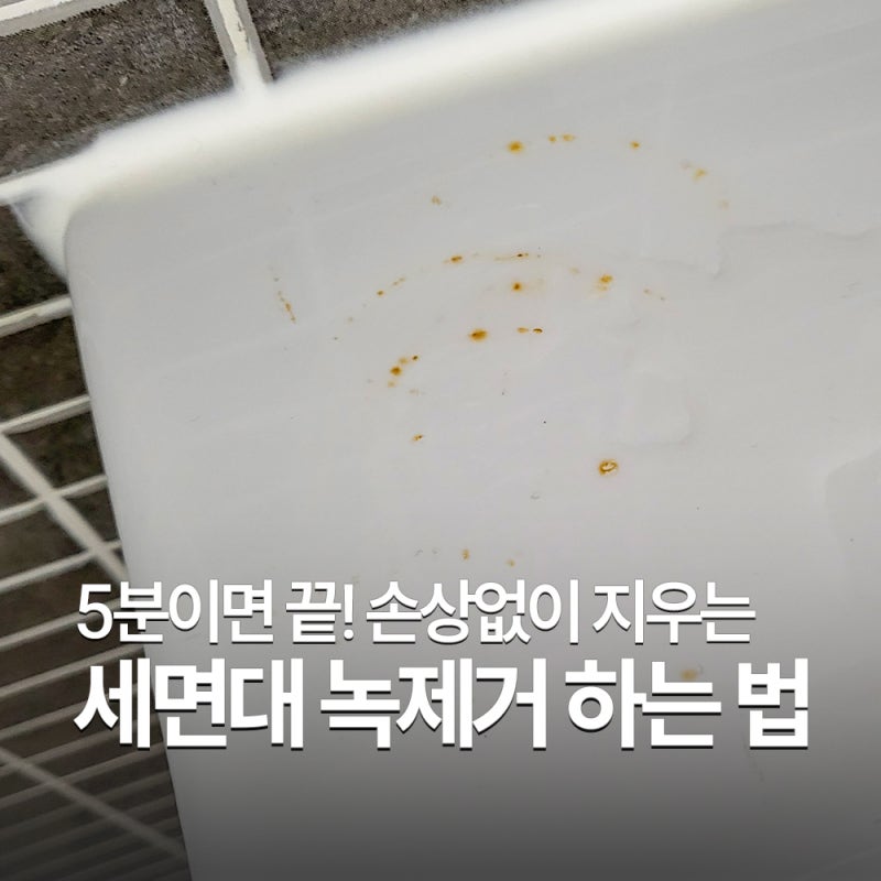 세면대 녹제거 5분이면 끝! 세면대 도기 손상 없이 녹제거하는방법 (+토리 리빙폴리쉬)