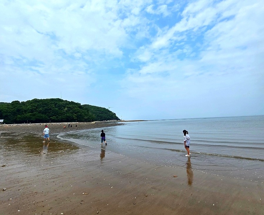 바다회세꼬시 사진 2