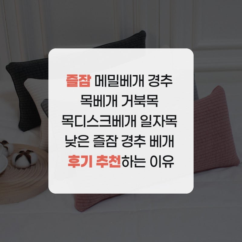 즐잠 메밀베개 경추 목베개 거북목 목디스크베개 일자목 낮은 즐잠 경추 베개 후기 추천하는....
