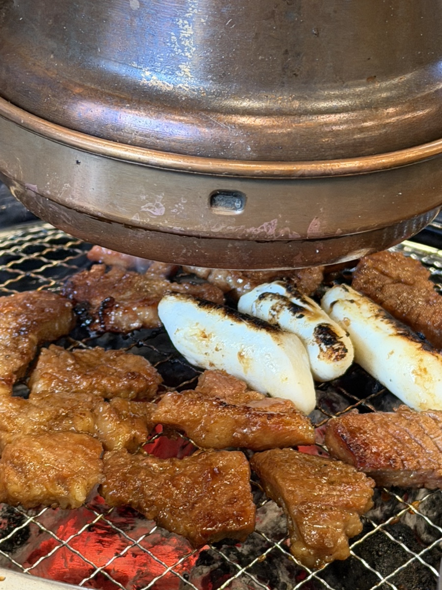 복도야지 사진 2