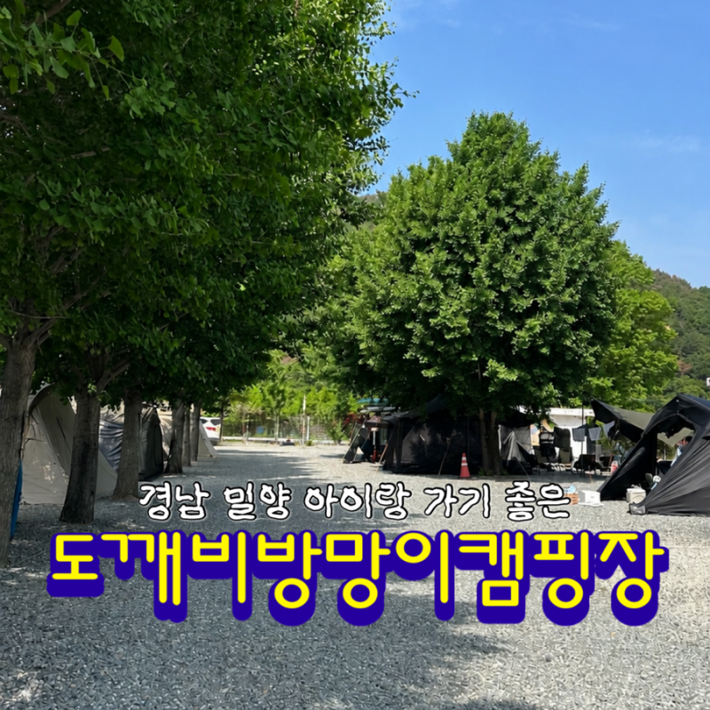 실내놀이방 물놀이장 도서관 있는 밀양 도깨비 방망이 캠핑장 (가격 예약 사이트 시설 정보) ....