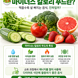 마이너스 칼로리 푸드 완전 정복 — 먹을수록 살 빠지는 음식이 진짜 있을까?