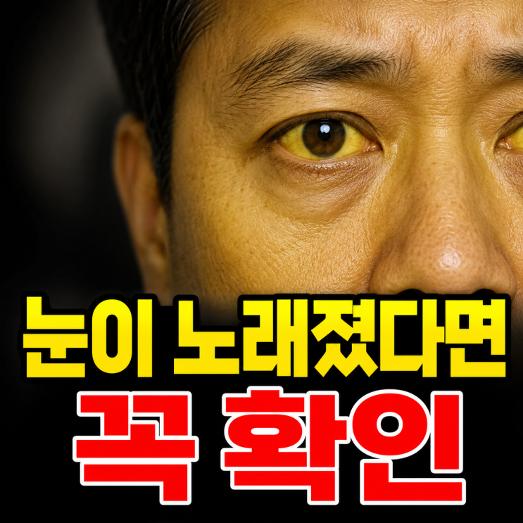  피곤함으로만 넘기면 안 되는 간수치 높을 때 나타나는 대표 신호 5가지