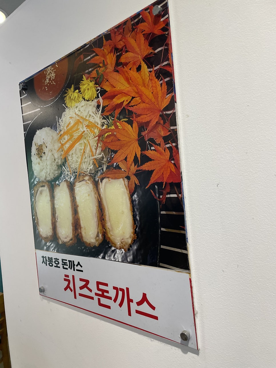 차봉호돈까스 사진 5