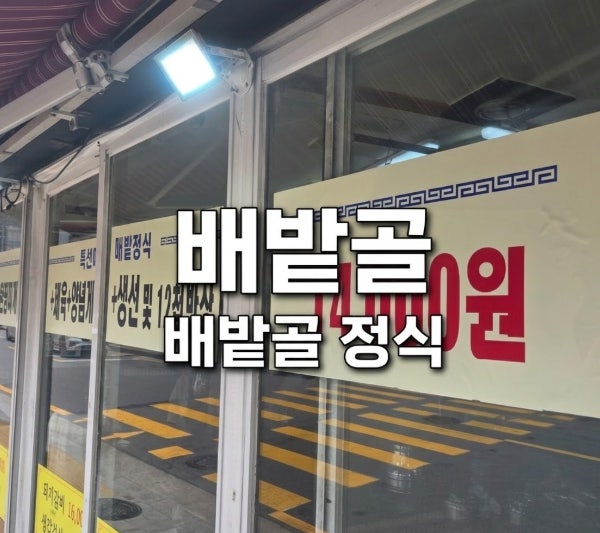 배밭골 사진 1