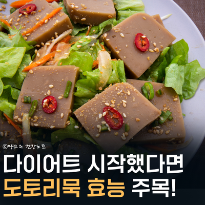 다이어트 시작했다면 도토리묵 효능 주목! | 부작용, 칼로리, 영양성분, 요리추천