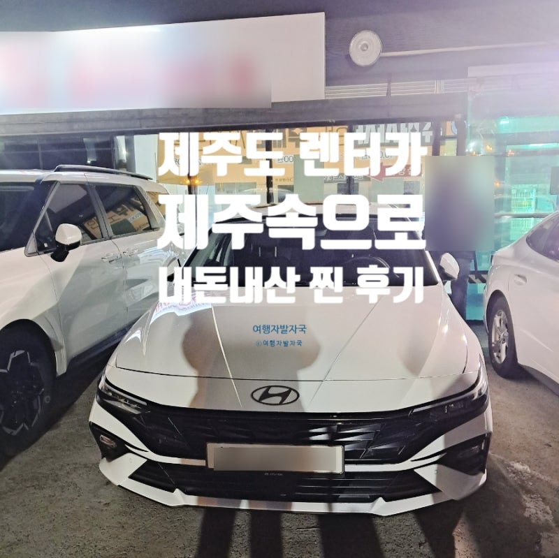 제주도 렌트카 가격 비교부터 예약까지! 제주속으로 로그인 렌트카 내돈내산 찐 후기 및 할....