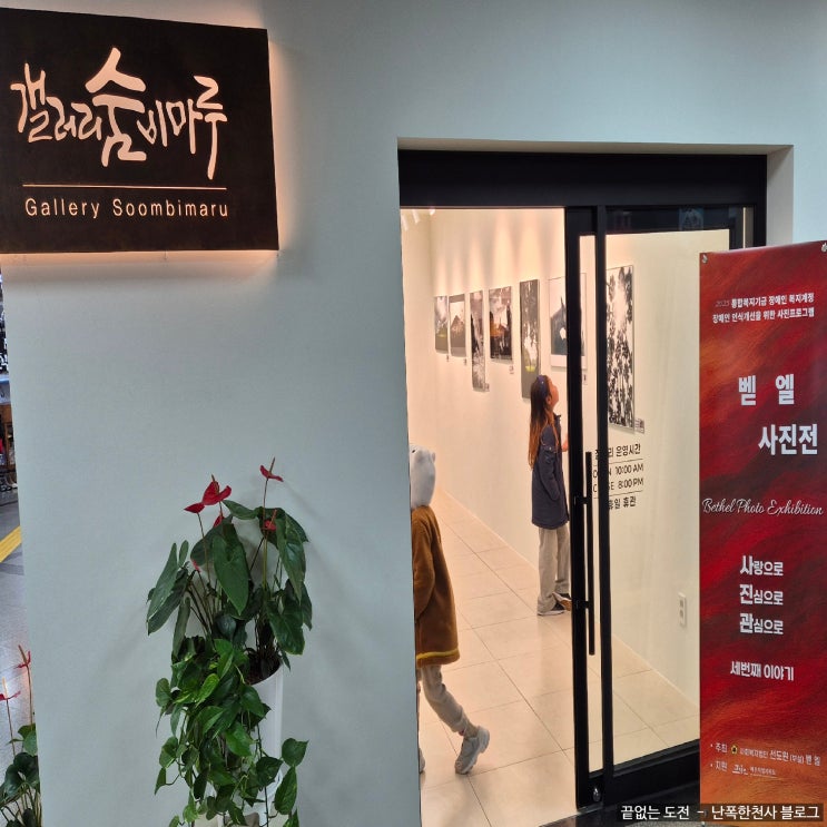 제주 무료 갤러리 숨비마루 원도심 실내 가볼만한 전시회