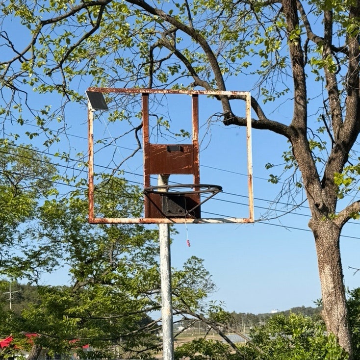 편백집펜션 사진 3