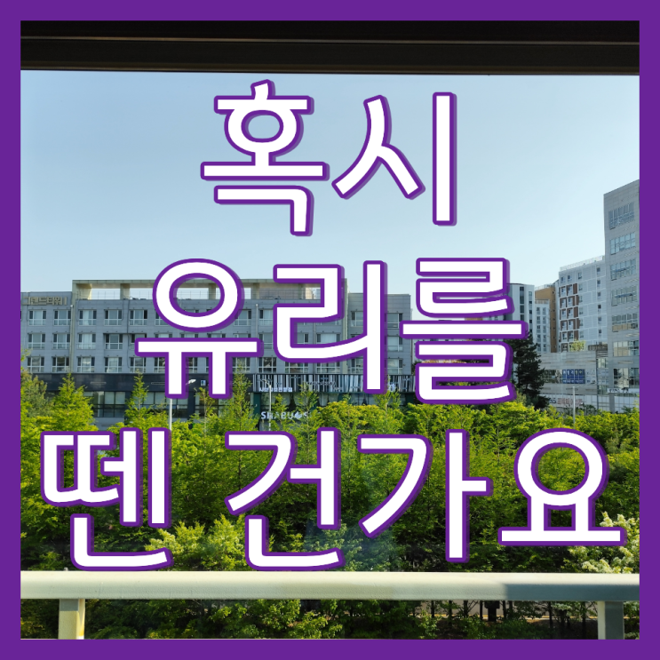  아파트 창문 거실 유리창 청소 스티커 끈끈이까지 완벽 제거(한신더휴테라스 8단지)