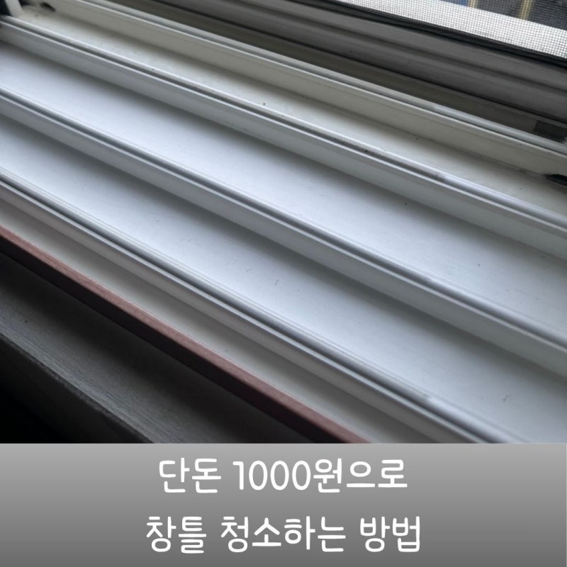 단돈 천원으로 환절기 필수 청소 창틀 청소하는 방법 | 다이소 부직포 장갑, 워터 블럭 사용 ....