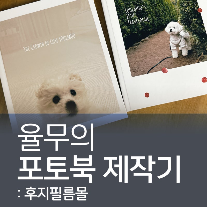 후지필름몰에서 완성한 율무의 포토북 제작기