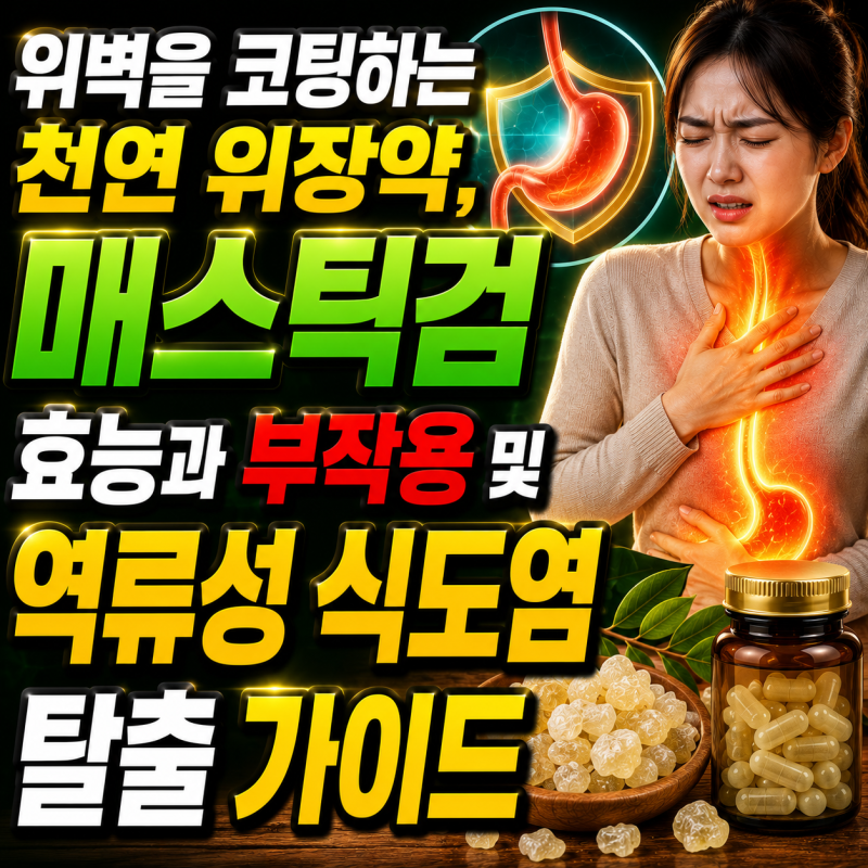 위벽을 코팅하는 천연 위장약, '매스틱검' 효능과 부작용 및 역류성 식도염 탈출 가이드