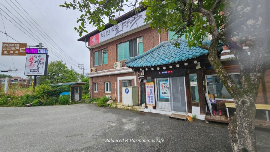 슈네화덕피자 사진 3
